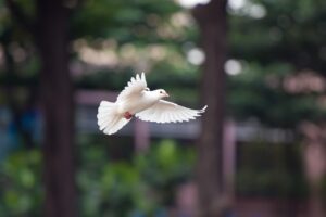 au回線を利用する際のおすすめの選び方は？