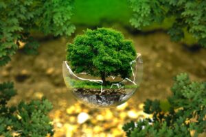 iijmioを使った一人暮らしに最適なプランは？